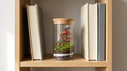 Mossarium Crystal Medium - Mineral stone edition