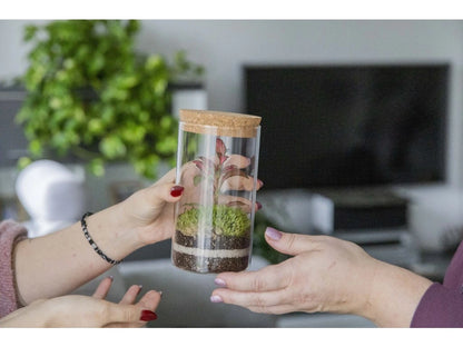 Mossarium Crystal Medium - Mineral stone edition