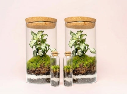 Mossarium Crystal Medium - Mineral stone edition