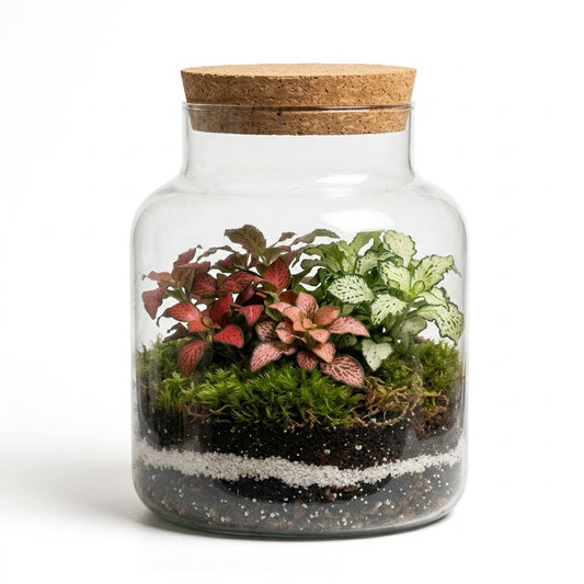 Mossarium Special Large 17x25cm