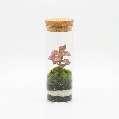 Mossarium Crystal Medium