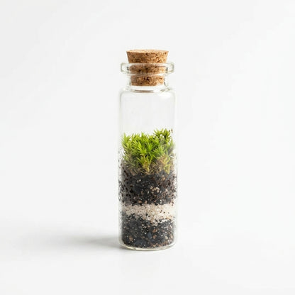 Mini Mossarium