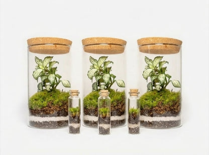 Mossarium Crystal Medium - Mineral stone edition