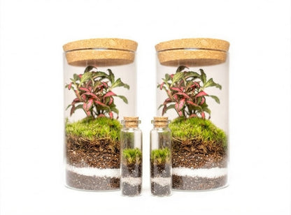 Mossarium Crystal Medium - Mineral stone edition
