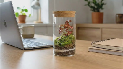 Mossarium Crystal Medium - Mineral stone edition